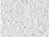tricolor