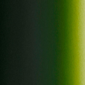 Краска для аэрографии Createx Illustration TR Moss Green Зеленый мох 5065 - изображение 2 - интернет-магазин tricolor.com.ua