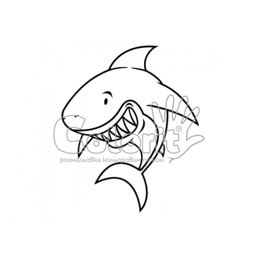Трафарет для розмальовки піском Акула S4 - интернет-магазин tricolor.com.ua