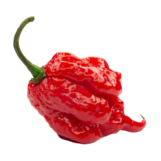 Набір для вирощування гострого перцю Pepper-X Carolina Reaper Red (Каролінський Жнець) - изображение 3 - интернет-магазин tricolor.com.ua