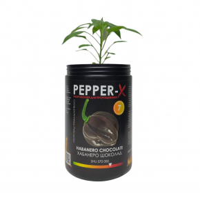 Набір для вирощування гострого перцю Pepper-X Habanero Chocolate (Хабанеро Шоколад) - изображение 2 - интернет-магазин tricolor.com.ua