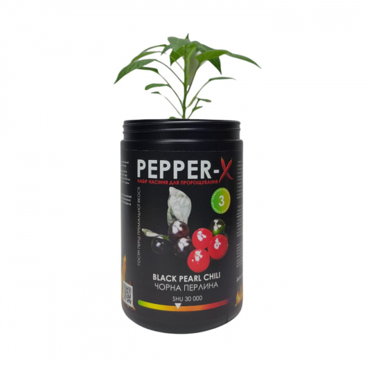 Набір для вирощування гострого перцю Pepper-X Black Pearl (Чорна Перлина) - изображение 2 - интернет-магазин tricolor.com.ua