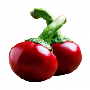 Набір для вирощування гострого перцю Pepper-X Mini Cherry (Маленька Вишня) - изображение 3 - интернет-магазин tricolor.com.ua