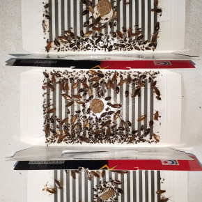 Пастка для тарганів, прусаків та мурашок підвищеної клейкості Killing Bait (упаковка 20 шт) - изображение 4 - интернет-магазин tricolor.com.ua