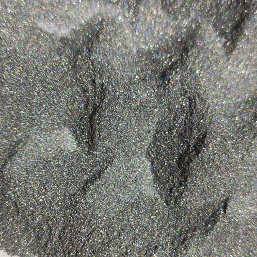 Глиттер голографический GGS/0,2 мм (1/128) серебряный Tricolor 200 г. - изображение 4 - интернет-магазин tricolor.com.ua