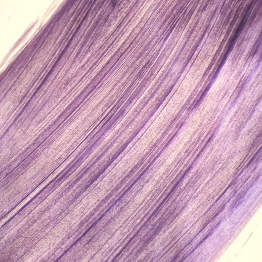 Лак декоративний перламутровий Tricolor акриловий Violet 150 мл. - изображение 4 - интернет-магазин tricolor.com.ua