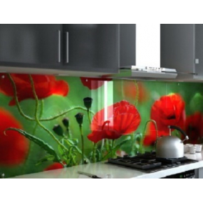 Кухонный фартук из стекла с фотопечатью - изображение 6 - интернет-магазин tricolor.com.ua