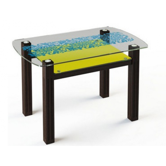 Стеклянный обеденный стол SW7 1100*700 покраска
