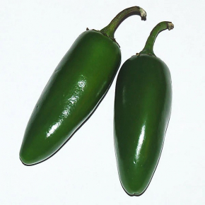 Насіння гострого перцю Jalapeno Early (Ранній Халапеньо) 30000, 2023 р. - изображение 2 - интернет-магазин tricolor.com.ua