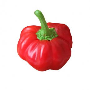 Насіння гострого перцю Pimento Sheepnose (Піменто Овечий ніс) 500, 2023 р. - изображение 2 - интернет-магазин tricolor.com.ua