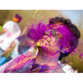 Фарба Холі фіолетова - изображение 2 - интернет-магазин tricolor.com.ua