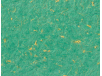 tricolor
