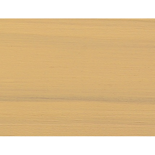 Акриловая пропитка-антисептик Pastel Wood color Bionic House (цитрус) - изображение 5 - интернет-магазин tricolor.com.ua