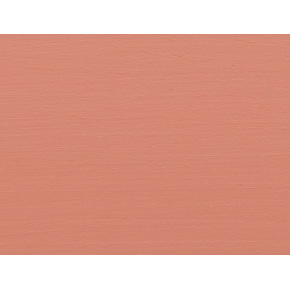 Акриловая пропитка-антисептик Pastel Wood color Bionic House (корал) - изображение 5 - интернет-магазин tricolor.com.ua