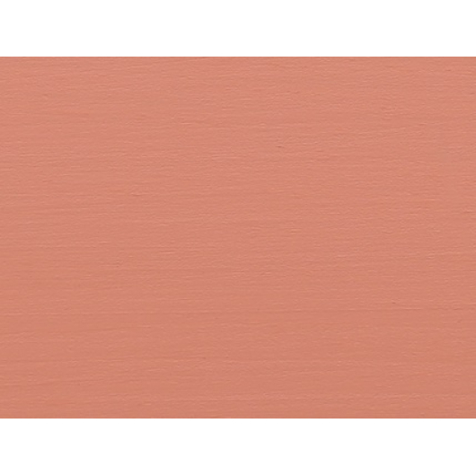 Акриловая пропитка-антисептик Pastel Wood color Bionic House (корал) - изображение 5 - интернет-магазин tricolor.com.ua