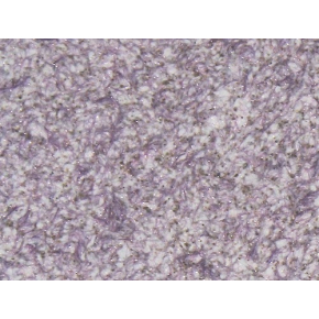 Рідкі шпалери Bioplast № 8673 біло-фіолетові