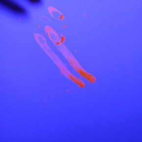 Пігмент флуоресцентний неон помаранчевий FO-13 - изображение 4 - интернет-магазин tricolor.com.ua