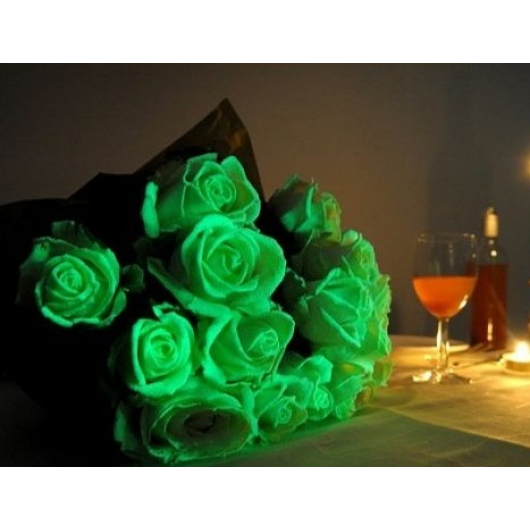 Фарба люмінесцентна AcmeLight для квітів класик 20мл - интернет-магазин tricolor.com.ua
