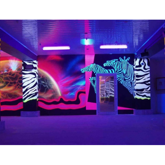 Фарба флуоресцентна AcmeLight для інтер'єру фіолетова 20 мл - интернет-магазин tricolor.com.ua