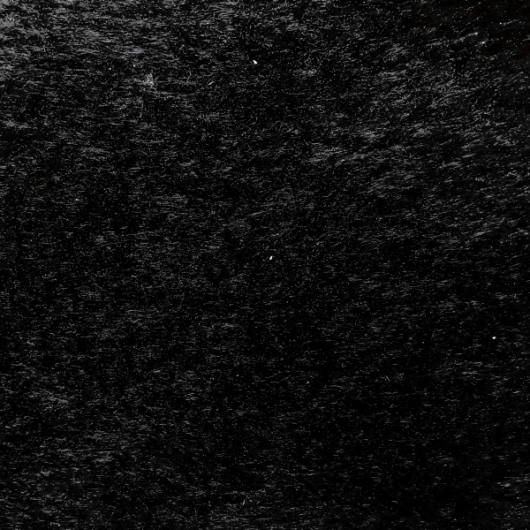 Рідкі шпалери Юрські Бегония 128 чорні