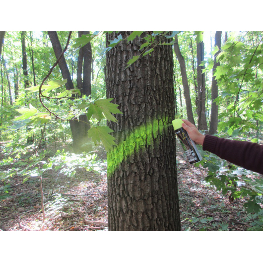 Флуоресцентная аэрозольная краска для маркировки леса Biodur Forest Marking Spray (зеленая) - изображение 2 - интернет-магазин tricolor.com.ua