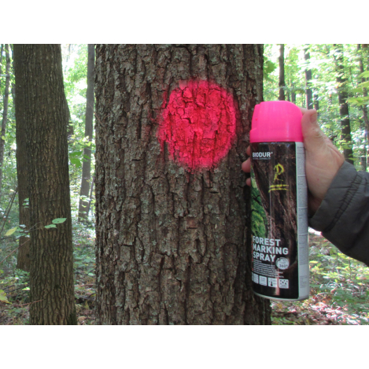Флуоресцентна аерозольна фарба для маркування лісу Biodur Forest Marking Spray (рожева) - изображение 3 - интернет-магазин tricolor.com.ua