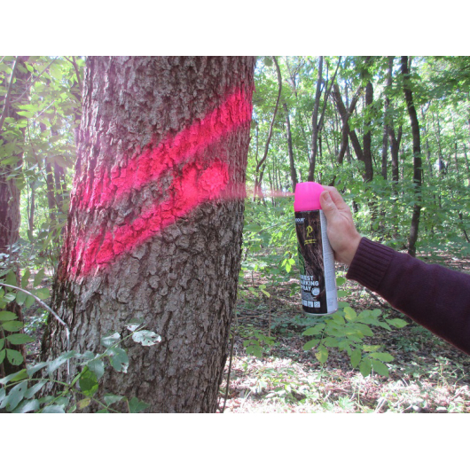 Флуоресцентна аерозольна фарба для маркування лісу Biodur Forest Marking Spray (рожева) - изображение 5 - интернет-магазин tricolor.com.ua