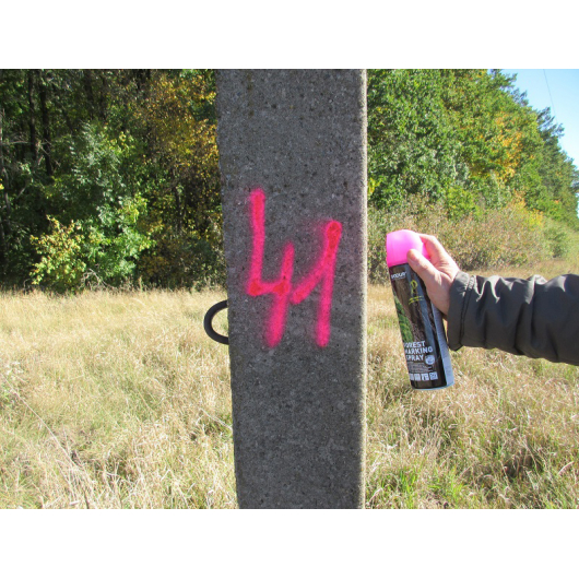 Флуоресцентна аерозольна фарба для маркування лісу Biodur Forest Marking Spray (рожева) - изображение 2 - интернет-магазин tricolor.com.ua