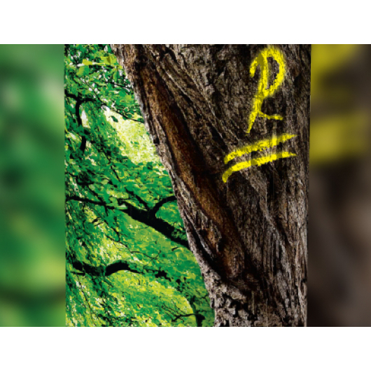 Флуоресцентная аэрозольная краска для маркировки леса Biodur Forest Marking Spray (желтая) - изображение 4 - интернет-магазин tricolor.com.ua