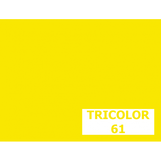 Пігмент органічний жовтий светопрочний Tricolor 61 - интернет-магазин tricolor.com.ua