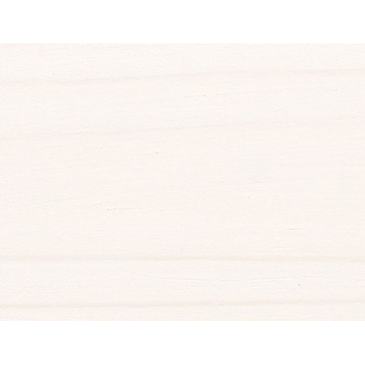 Лак панельный профессиональный Joncryl Bionic House полуматовый Белый - изображение 2 - интернет-магазин tricolor.com.ua
