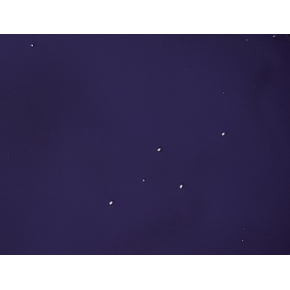 Пігментна паста Monicolor-B FT-фіолетова - изображение 3 - интернет-магазин tricolor.com.ua