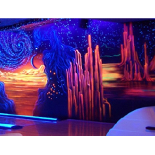 Краска флуоресцентная AcmeLight для интерьера розовая - интернет-магазин tricolor.com.ua