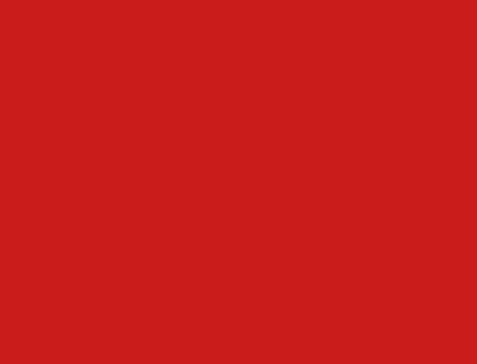 Пигмент органический красный Toner P.RED 53:1 - Tricolor Пигмент органический красный Toner P.RED 53:1 - интернет-магазин tricolor.com.ua