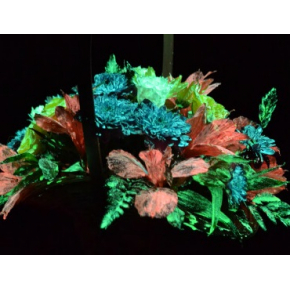 Краска люминесцентная AcmeLight Flower для цветов красная - интернет-магазин tricolor.com.ua