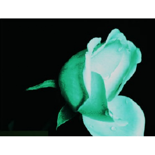 Фарба люмінесцентна AcmeLight для квітів біла - интернет-магазин tricolor.com.ua