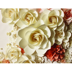 Фотообои Lux Design #22 Белые розы - интернет-магазин tricolor.com.ua